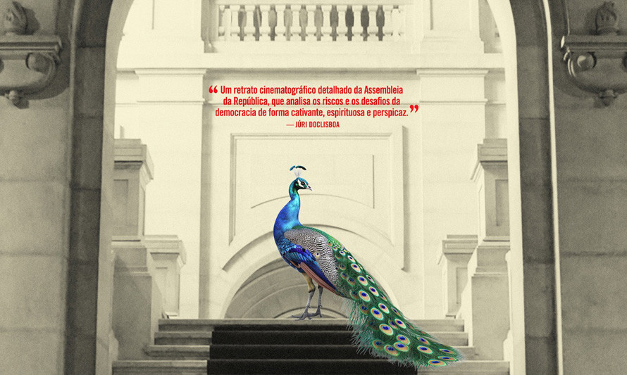 “O Palácio de Cidadãos” chega ao Auditório de Gaia esta terça-feira