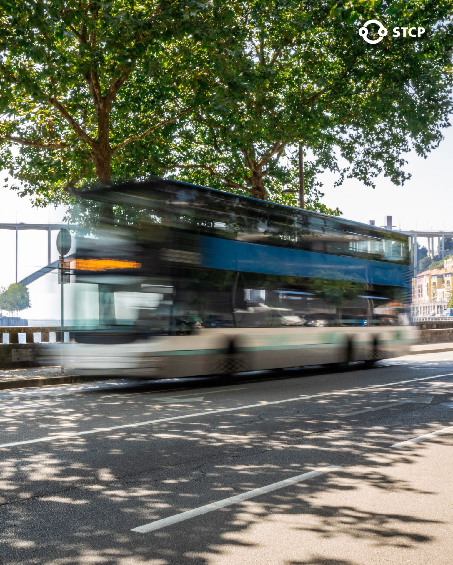 STCP liga o centro do Porto a Francelos através da nova linha 900